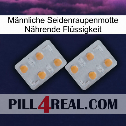 Männliche Seidenraupenmotte Nährende Flüssigkeit 25
